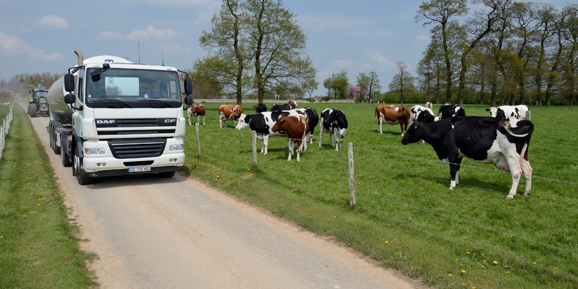 Loomakasvatuse otsetoetusi taotleb 2018 loomapidajat. Foto: Shutterstock