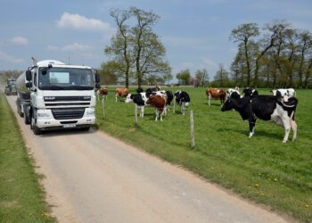 Loomakasvatuse otsetoetusi taotleb 2018 loomapidajat. Foto: Shutterstock