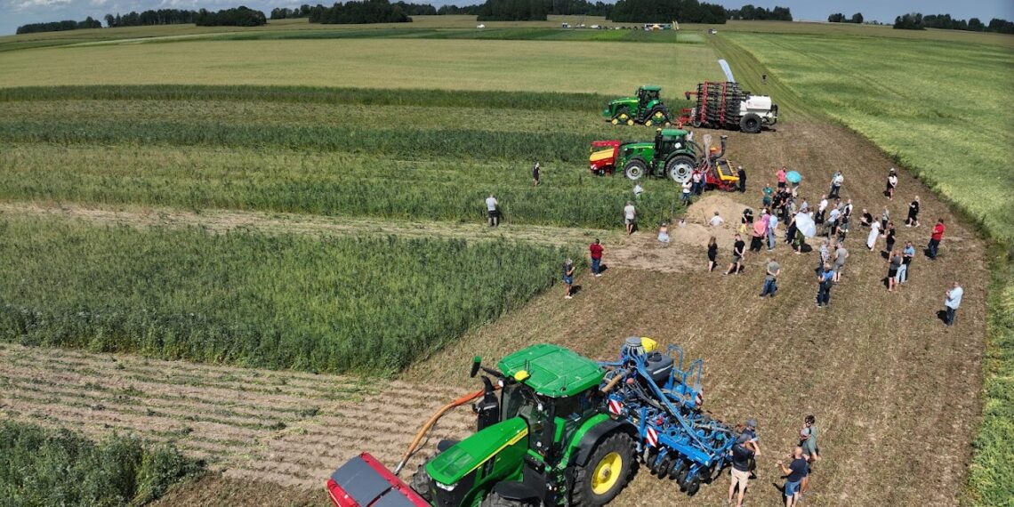 Sadala Agro (fotol ettevõtte katsepõld) on üks seitsmest põllumajandustootjast, kes katsetab koostöös projektiga „Loodusrikas Eesti“ rohumaaribade kasulikkust põllumaadel. Foto: Kerttu Tammik