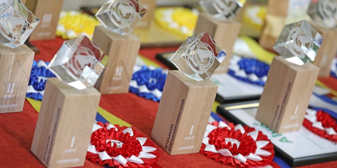 Auhinnad. Foto: Liis Ira