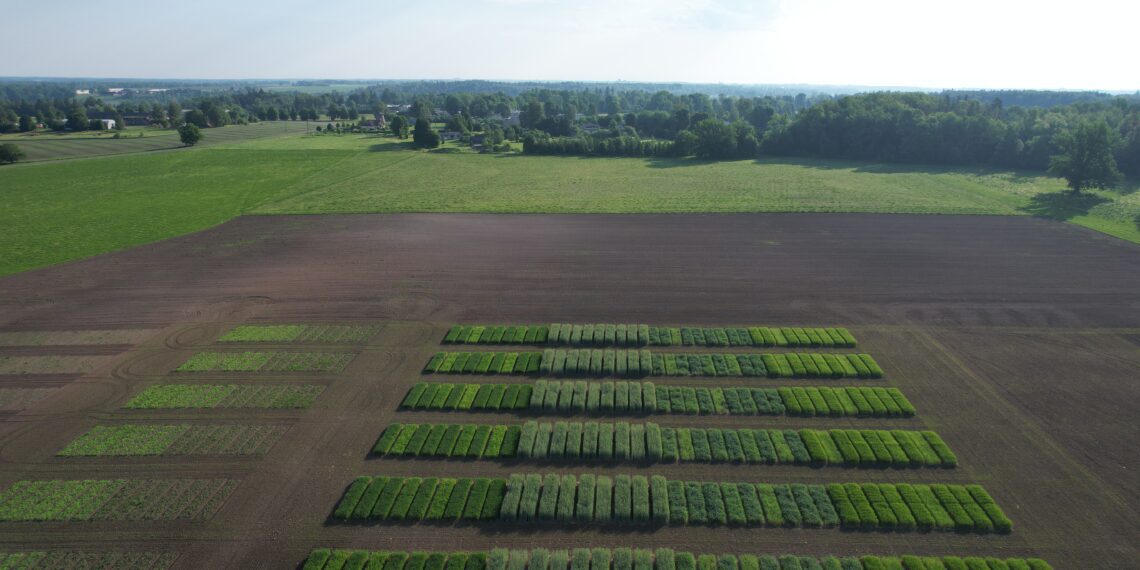 „Väetamise ABC 2023–2026“ projekt kaasajastab väetussoovitused – esimene katseaasta, esimesed uued ja huvitavad tõdemused