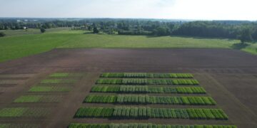 „Väetamise ABC 2023–2026“ projekt kaasajastab väetussoovitused – esimene katseaasta, esimesed uued ja huvitavad tõdemused