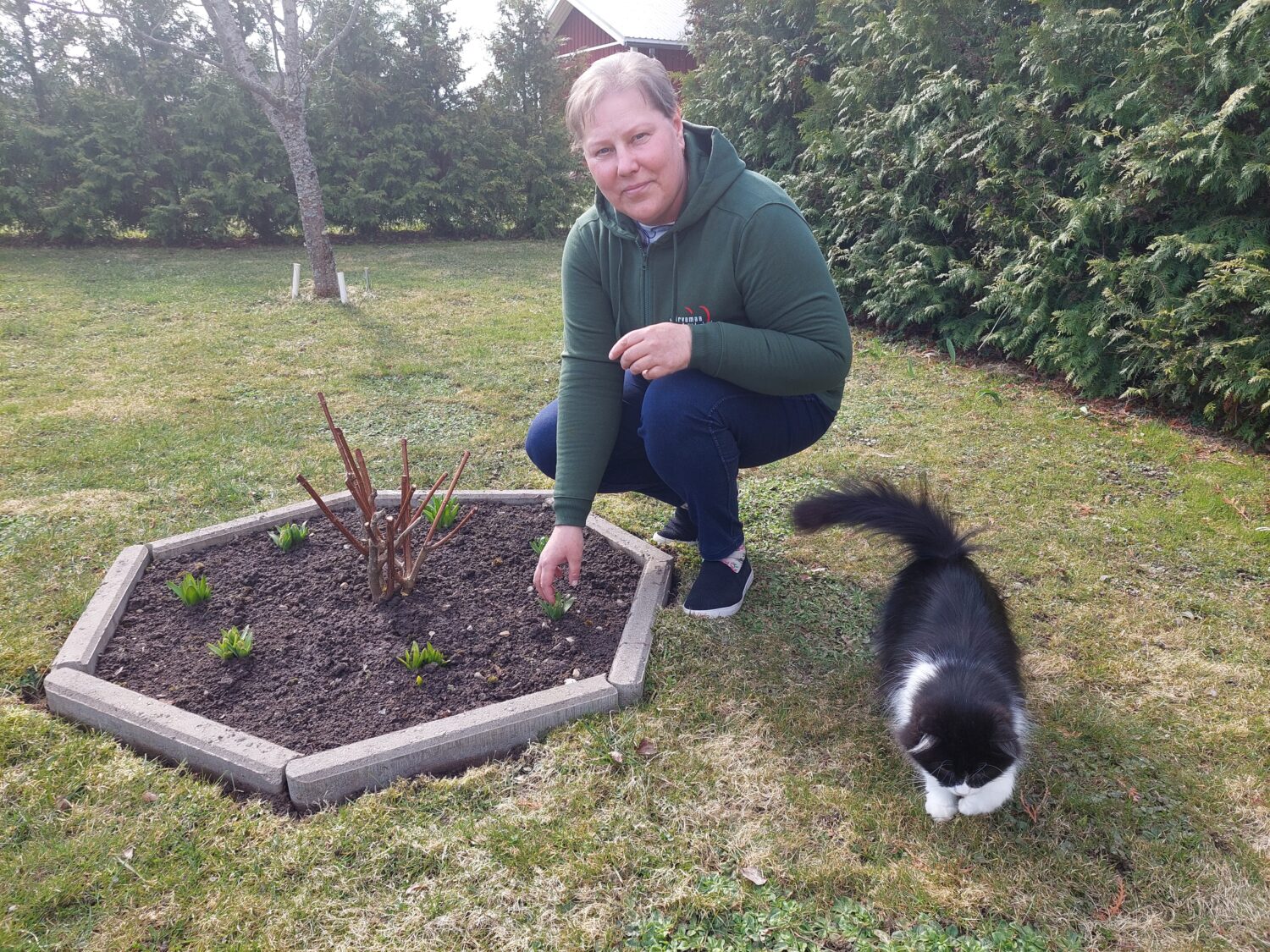 Kaja Marrandi tänavu aprilli keskel oma koduaias tärkavaid hüatsinte imetlemas. Ka pere kass Mirri tuli uudistama. Foto: erakogu