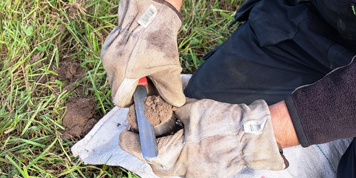 Mullaproovide kogumine lasuvustiheduse mõõtmiseks. Foto: METK