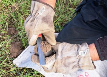 Mullaproovide kogumine lasuvustiheduse mõõtmiseks. Foto: METK
