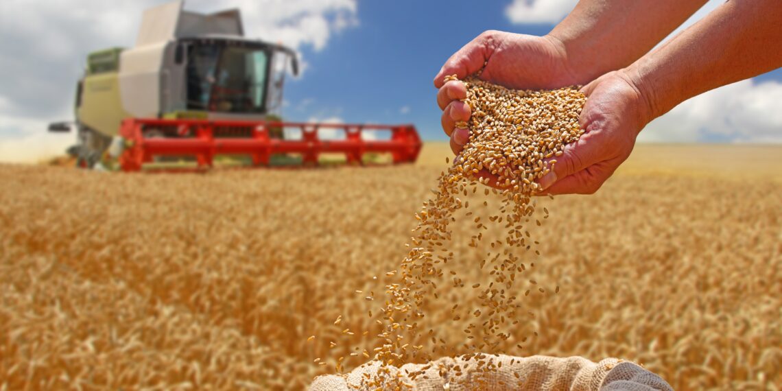 EPKK kutsub üles looma ÜPP raames täiendavat Euroopa Liidu poolset rahastusmehhanismi, mis tugevdab maaelu ja põllumajandust idapiiri ääres. Foto: Shutterstock