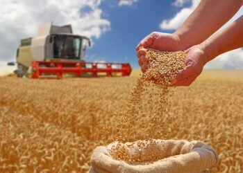 EPKK kutsub üles looma ÜPP raames täiendavat Euroopa Liidu poolset rahastusmehhanismi, mis tugevdab maaelu ja põllumajandust idapiiri ääres. Foto: Shutterstock