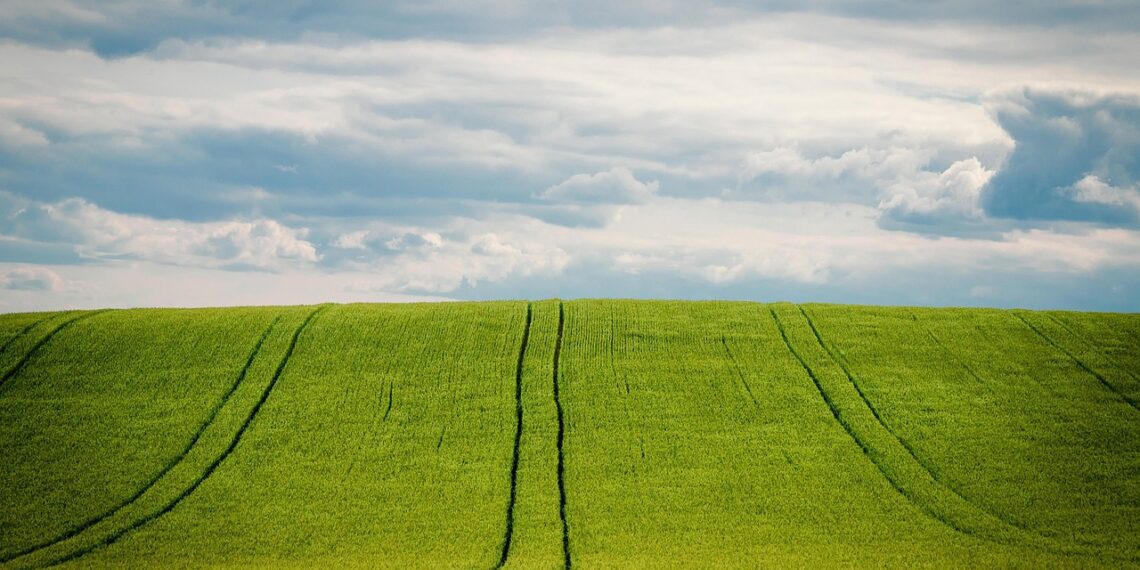 15. maist kuni 16. juunini 2025. aastal saab e-PRIAs esitada pindala- ja maaelu arengu loomapõhiste toetuste taotlusi. Foto: Pixabay