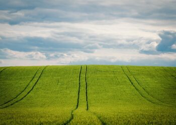 15. maist kuni 16. juunini 2025. aastal saab e-PRIAs esitada pindala- ja maaelu arengu loomapõhiste toetuste taotlusi. Foto: Pixabay