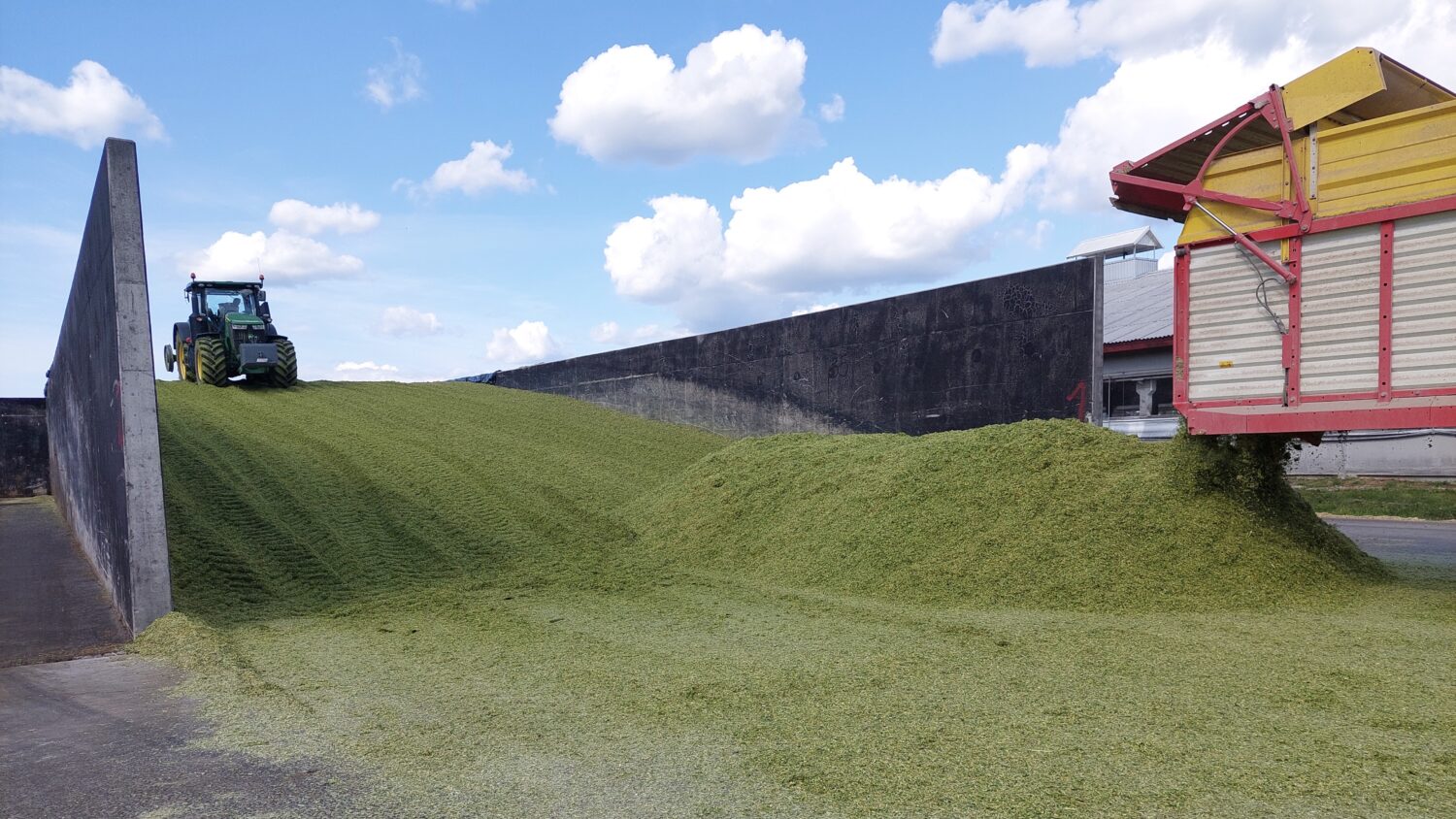 Võihappe määramine silos. Foto: Are Selge