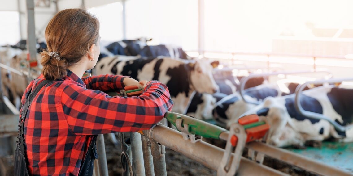 Noored ettevõtjad saavad toetust taotleda. Foto: Shutterstock