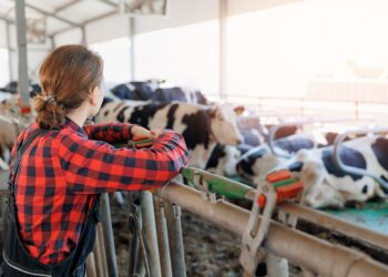 Noored ettevõtjad saavad toetust taotleda. Foto: Shutterstock