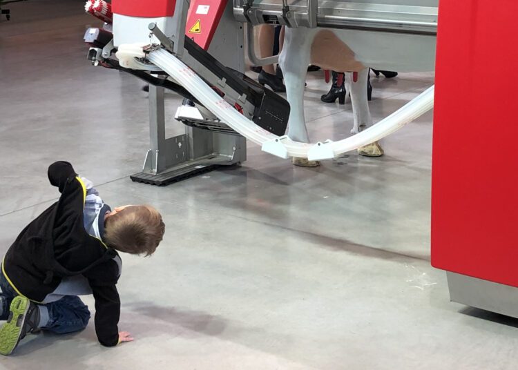 Lüpsirobot väärib lähemat uurimist: Foto EPA messilt