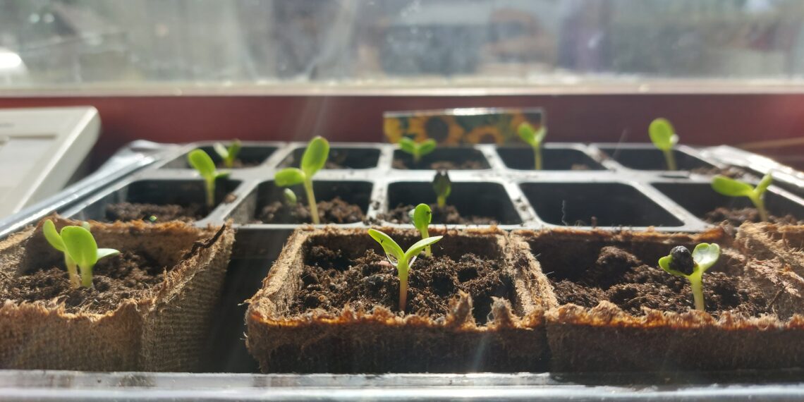 Innovatsioon põllumajanduses on nagu väetis taimedele – ilma selleta jääb kasv kängu. Foto: Hanna Tamsalu