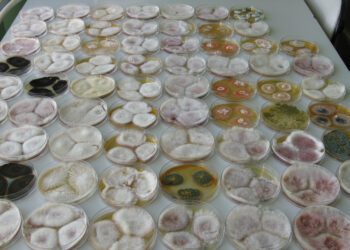 Saastumise riski määramine METK Saku laboris.