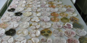 Saastumise riski määramine METK Saku laboris.