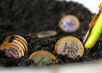 Maaelu Edendamise Sihtasutus avas 55 miljoni euro suuruse laenufondi. Foto: Pixabay