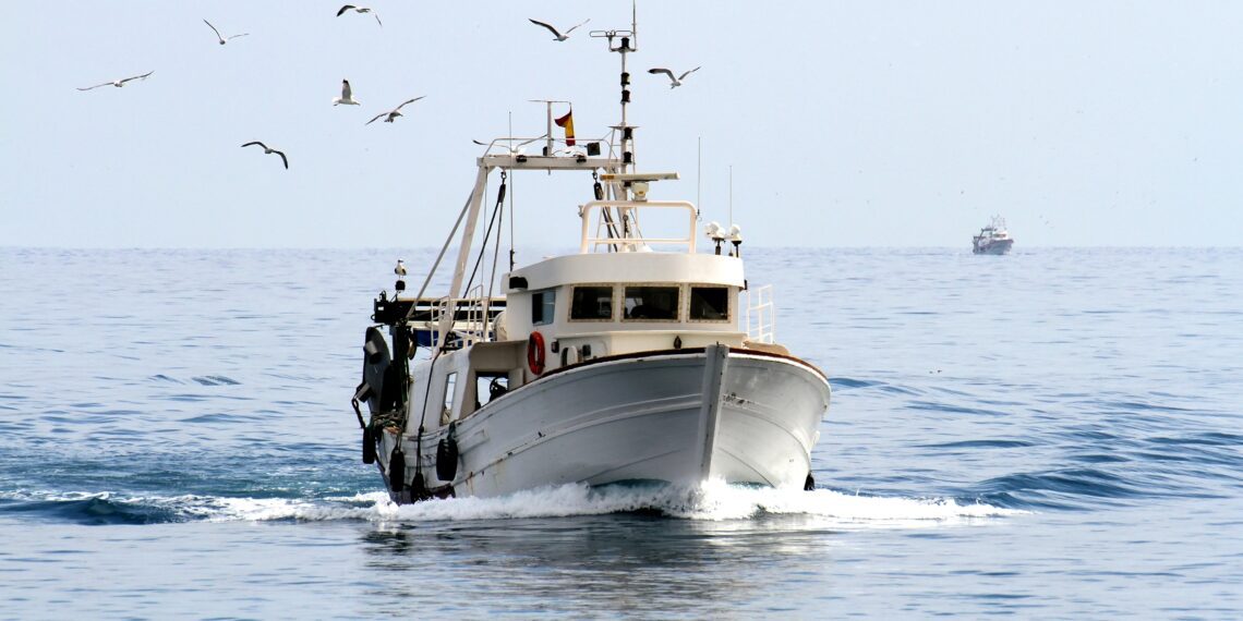 Eesti kalandus, metsandus kui ka põllumajandus teevad läbi kiireid muutusi ja selgust tuleviku suhtes võiks rohkem olla. Fotod: Shutterstock