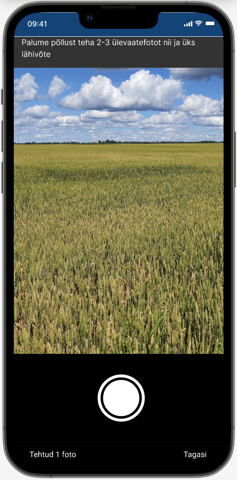 Iva äpi uuendus võimaldab fotod kohe PRIA poole teele saata. 