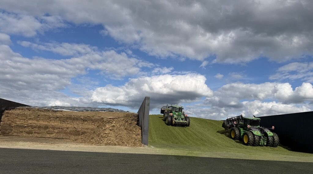Silo tootmine. Foto: Alltech