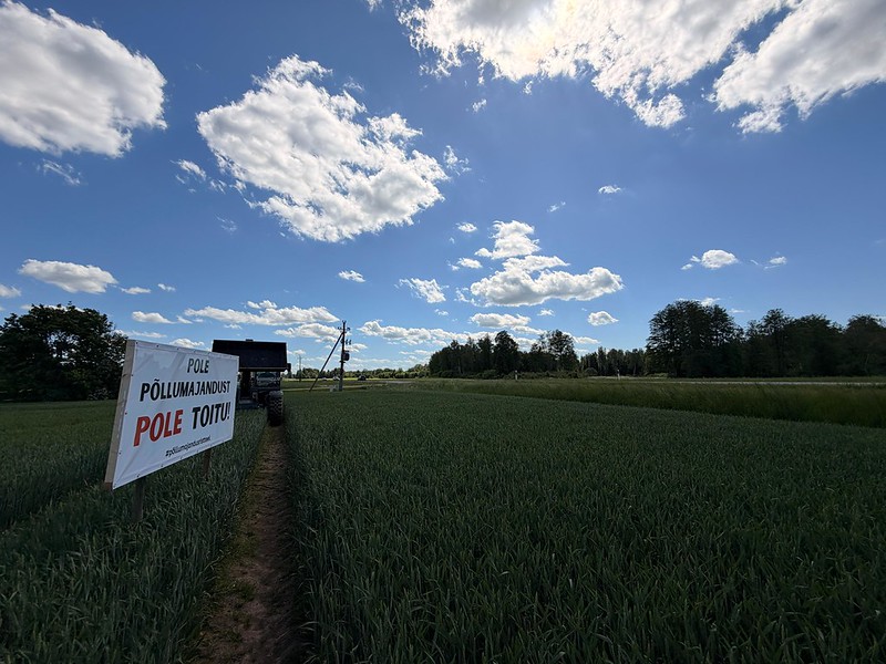 Plakateid, mis rõhutavad toidutootmise rolli Eesti igapäevaelus, majanduses ja julgeolekus, võib suve jooksul näha Tallinna–Pärnu, Tallinna–Tartu, Tallinna–Narva, Tallinna–Haapsalu ja teistegi maanteede ääres. Foto: Liilit Kirss