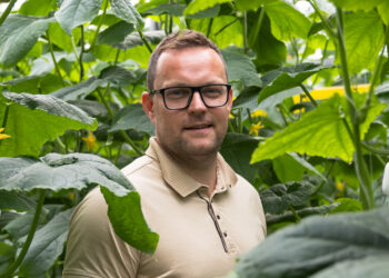 Kristo Eisenbergi sõnul aitab Grüne Fee energiamahukat köögiviljakasvatust pinnal hoida oma energiatootmine ehk gaasil töötav koostootmisjaam. Sealt saadakse 90% vajaminevast soojusenergiast ja kolmandik elektrienergiast. Foto: Mailis Vahenurm / Tartu Postimees / Scanpix
