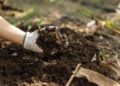 Mullaproovide analüüsitulemuste põhjal saab koostada happesuse, lubjatarbe ja väetustarbe kaarte. Kui mullaanalüüside tulemused on põllu eri osades erinevad, ei pruugi ühe normi kasutamine kogu põllul olla põhjendatud. Foto: Shutterstock